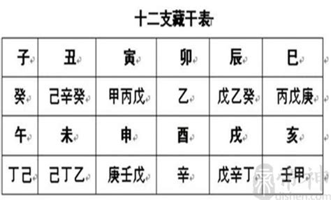 地支暗藏|十二地支藏干透出规则详解